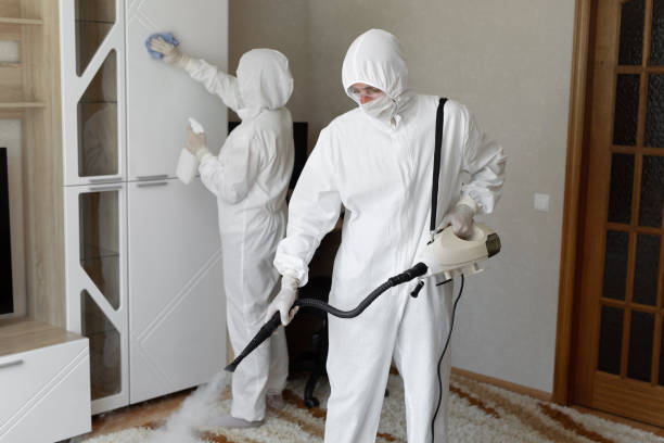 Best Industrial Mold Remediation in Ddanelle, AR